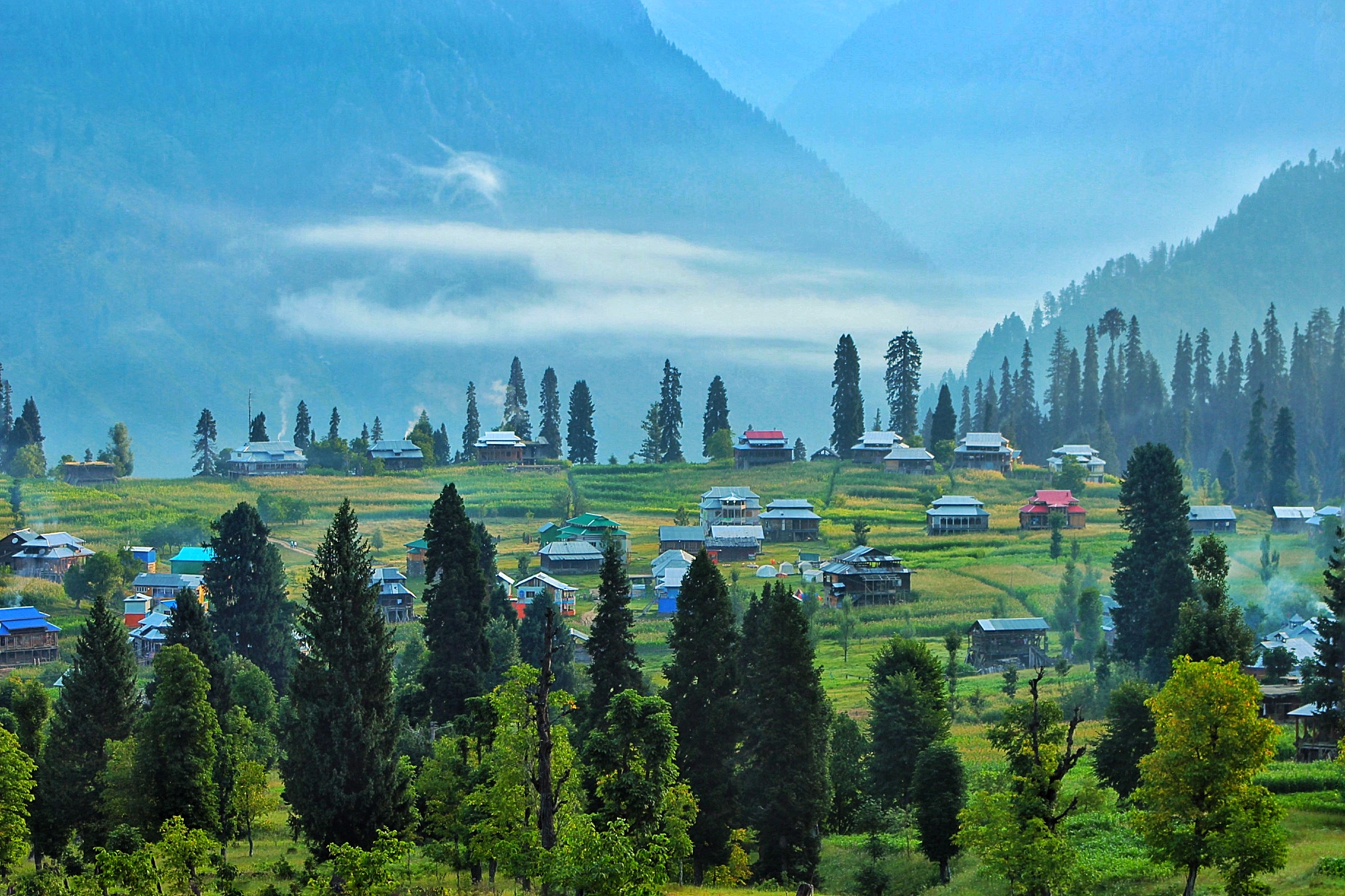 Arang Kel photo 2