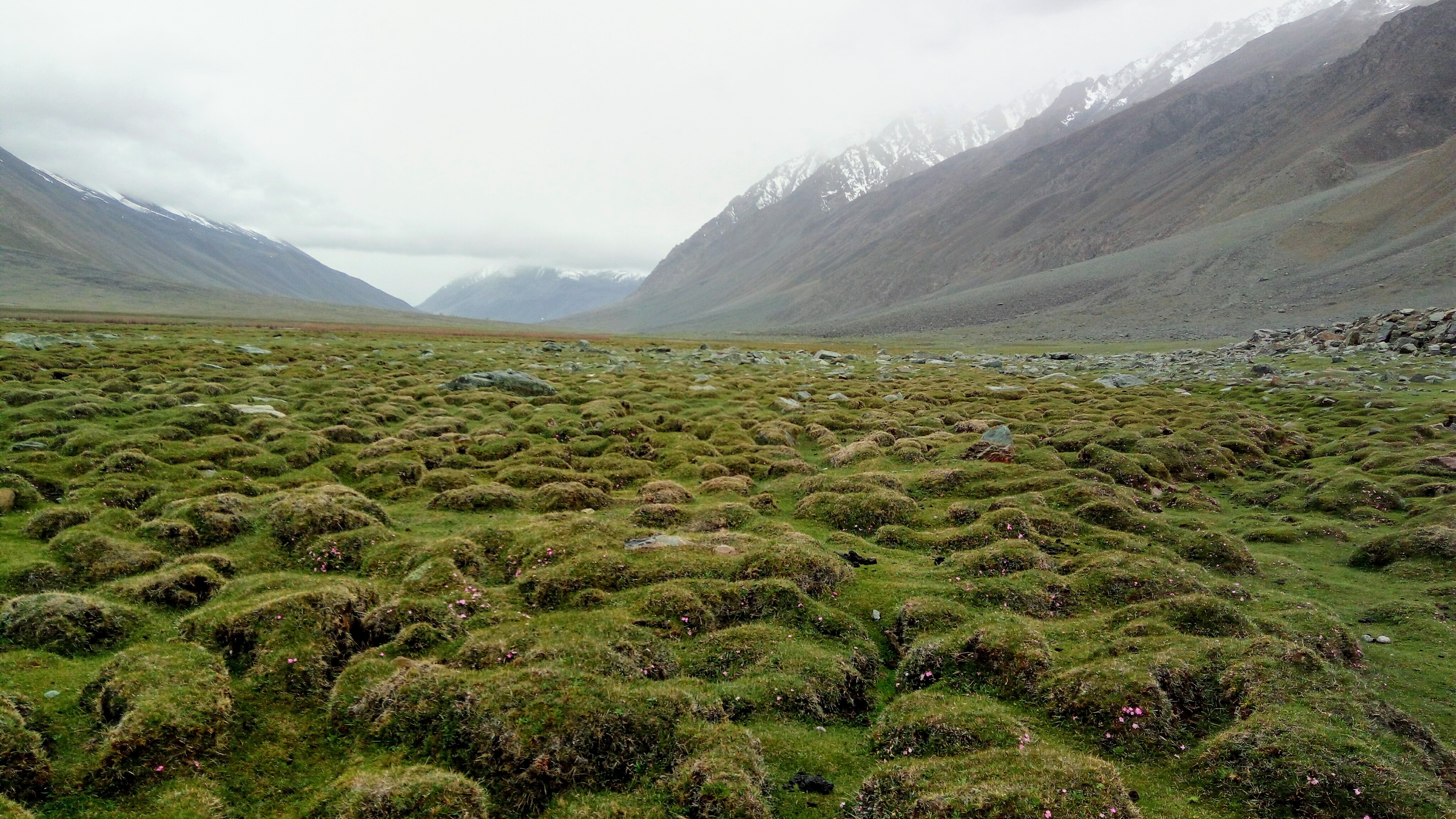 Yasin Valley photo 2