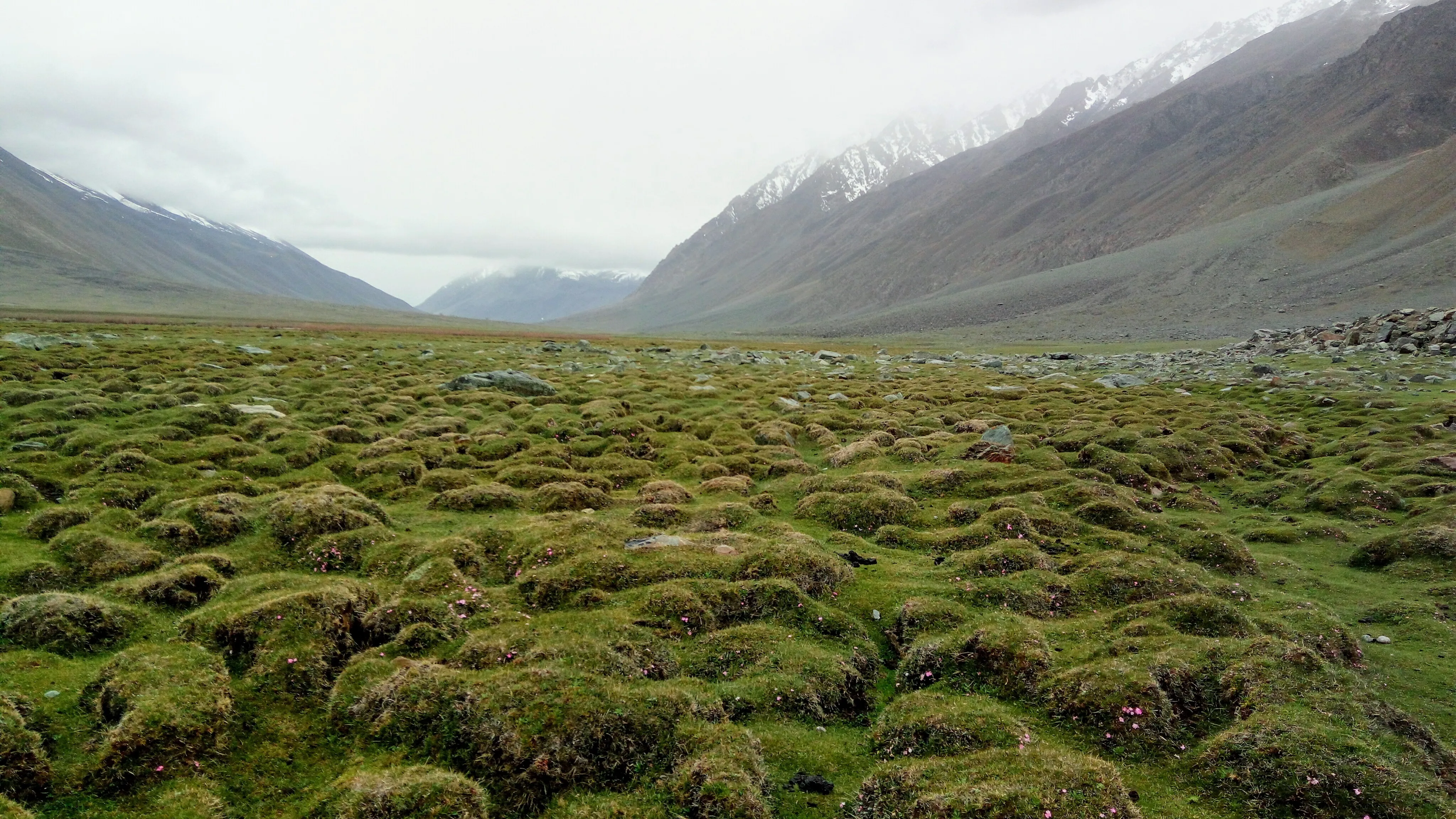 Yasin Valley